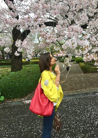 Appreciating sakura in Japan